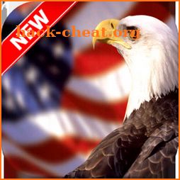 American Flag Wallpapers icon