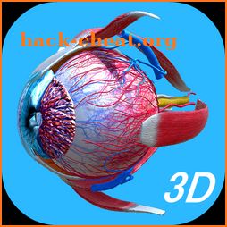 Anatomy Human Eye icon