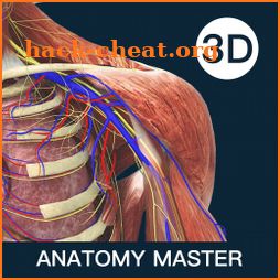 Anatomymaster icon