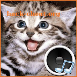 Animal sounds icon