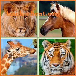 Animals for Kids - Flashcards, Puzzles & Sounds icon