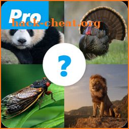 Animals Quiz icon