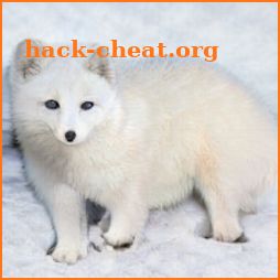 Arctic Wolf icon