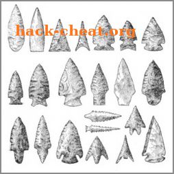 Arrowhead Identifier icon