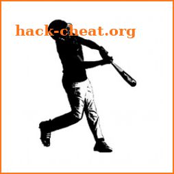 Batting Counter / Stats Tracker Pro icon