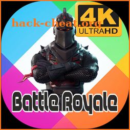 Battle Royale Wallpaper icon