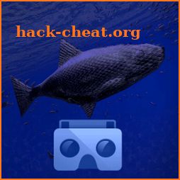 Be a Fish - VR Simulator icon