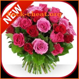 Beautiful Flowers Bouquet Of Roses 🌹 icon