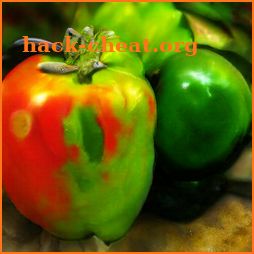 Bell pepper icon