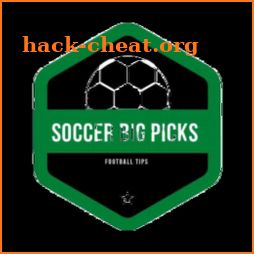 BIG Picks Tips icon