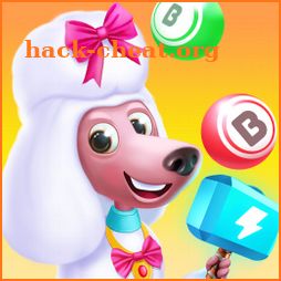 Bingo Master & Coin Adventure icon