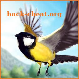 Bird Fly High 3D Simulator icon