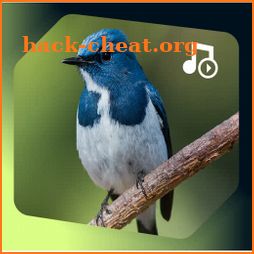 birds ringtones, birds sound icon