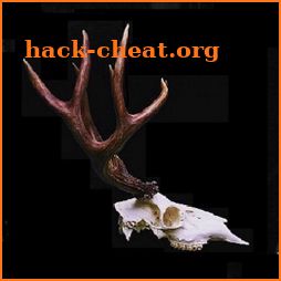 Blacktail Hunter icon