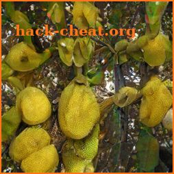 breadfruit icon