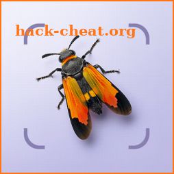 Bug ID - Insect Identifier icon