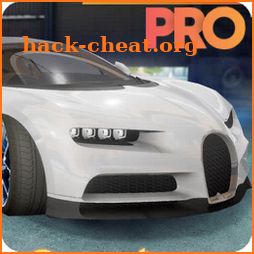 Car Bugatti Driving Sim 19 icon