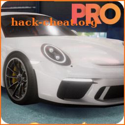 Car Porsche Driving Sim 19 icon