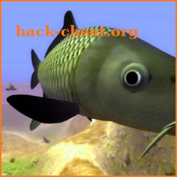 Carp Ranch - Fishing Adventure icon