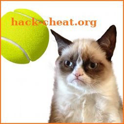 Cat Tennis: Battle Meme icon