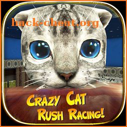 Crazy Cat Rush Racing Run Kitty Craft icon