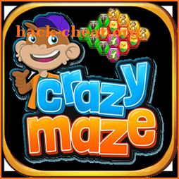 Crazy Maze - Hexa Puzzle icon