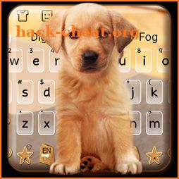 Cute Dog Labrador icon