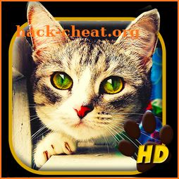 Cute Love Cat APUS Live Wallpaper icon