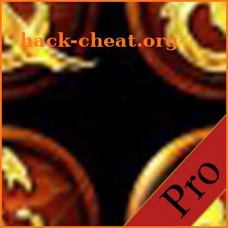 DDO Puzzle Solver (Pro) icon