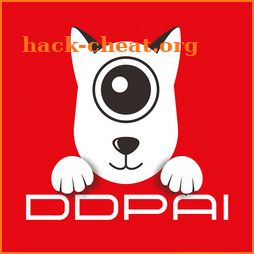 DDPAI icon