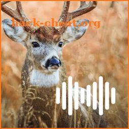 Deer hunting calls icon