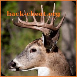 Deer Hunting Calls Soundboard icon