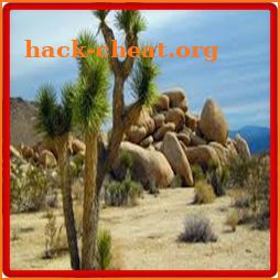 Desert Landscaping Ideas-Desert Design Landscape icon