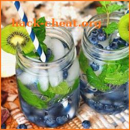 Detox Water Drinks Recipes icon