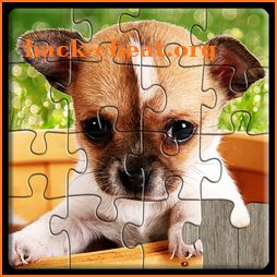 Dogs Jigsaw Puzzles Game - For Kids & Adults 🐶 icon