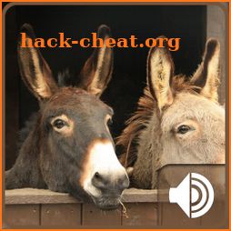 Donkey Sounds icon