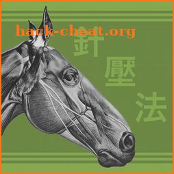 Equine AcuPoints icon