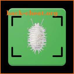 Food Insects Tracker icon