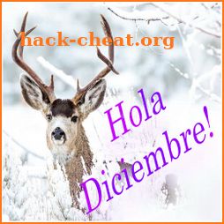 Frases y refranes DICIEMBRE icon