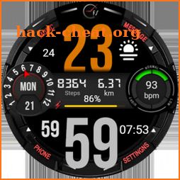 FSW216 WATCHFACE icon