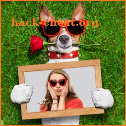 Funny Dog Photo Frames icon