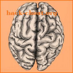 Glasgow Coma Scale  (GCS)  Pro icon