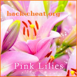 Gorgeous Wallpaper Pink Lilies Theme icon