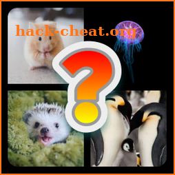 Guess the Animal icon