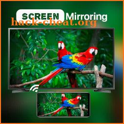 HD Video Screen Mirroring icon