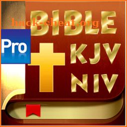 Holy Bible (KJV, NIV) Pro icon