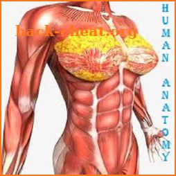 HUMAN ANATOMY & PHYSIOLOGY icon