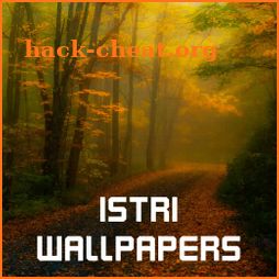 Istri Wallpaper icon