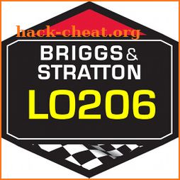 Jetting for LO206 Briggs & Stratton LO206 Kart icon