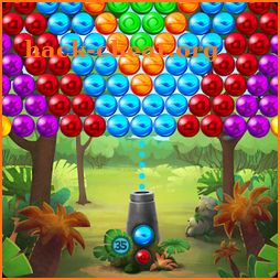 Koala Pop Bubble Shooter icon